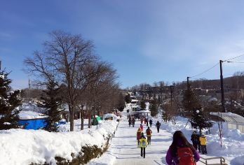 日本北海道+旭川+肯和玛丽之树一日游/行程可调-可定制多日【包车一日游，解锁旅行新方式！独立车辆配备经验丰富的老司机，为您量身打造专属行程。】