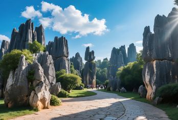 云南昆明石林风景区一日游【优选纯玩品质团】【[品质服务]优选纯玩，游览时间充足。】