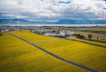 云南大理洱海+喜洲+双廊+磻溪S湾网红麦田打卡点+理想邦一日【专车服务+行程可调+酒店接送】