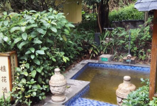 广东惠州地派温泉一日游【天然温泉、冬日出游、公司团建好去处】【[团队出游]您是否需要策划一场完美的公司旅行，快点击客服咨询吧】