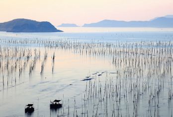 福建霞浦北岐滩涂+杨家溪+小皓海滩+东壁一日游【纯玩独立团】【[精选线路]精选航拍路线，让您玩转霞浦的同时，文案图片在朋友圈出彩！】