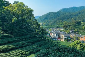 杭州梅家坞村半日游【打泉水体验|含龙井茶采茶+炒茶+品茶】【探访西湖龙井茶优质产区梅坞茶村，体验幽美村落的治愈系茶之旅~】