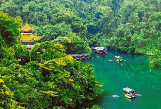 肇庆七星岩+古城墙+鼎湖山一日游【司兼向导，小团包车游】【[打卡岭南奇观，人间仙境]】