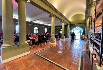 开普敦企鹅海滩+康斯坦酒庄+植物园+葡萄园 亲子休闲一日游【专车上门接送 行程可调整 VIP包车游（开普敦市区往返）中/英文本地司机】