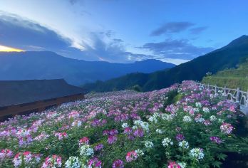桂林龙胜红军岩+布尼梯田一日游【桂林红色旅游专线】【自然奇观与红色历史文化深度结合】