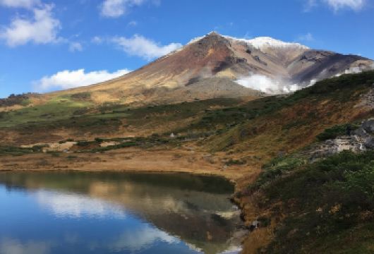 日本北海道+旭川+富田农场+青池一日游/行程可调-可定制多日【包车一日游，解锁旅行新方式！独立车辆配备经验丰富的老司机，为您量身打造专属行程。】