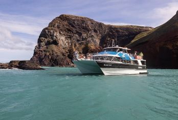 新西兰基督城 阿卡罗阿一日游 黑猫号观海豚  酒店接送 【乘坐黑猫号游船，饱览阿卡罗阿的迷人风光，观赏珍稀的新西兰特有海豚——赫氏海豚，以及 企鹅和其他海鸟】