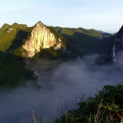 百色大石围天坑群+布柳河仙人桥景区一日游【不含门票】