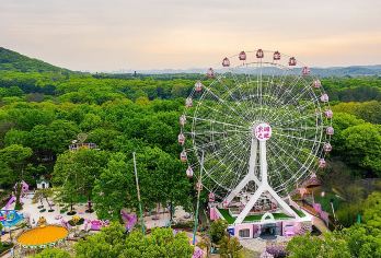 黄鹤楼+湖北省博物馆+东湖之眼摩天轮一日游【私家团】【[行程特色]深度游武汉-包车轻松游-少走路线路】