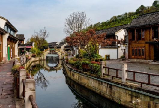 浙江宁波一日游包车游|罗蒙环球乐园+野生动物园+韩岭老街等【10小时vip服务】