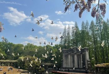 【私家团】南京导游服务 市区景点 总统府/中山陵/明孝陵一日【私享包团，时间自由，行程独立！】