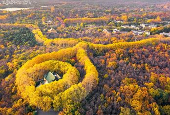 商务车丨英文导游丨总统府+中山陵+美龄宫+夫子庙+瞻园【金陵经典精华景点，晚出发不早起】