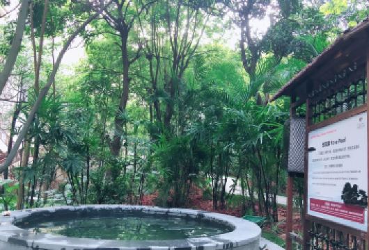 广东东莞丰泰花园酒店热矿泉一日游【公司团建、集体出游方案√】【[团队出游]您是否需要策划一场完美的公司旅行，快点击客服咨询吧】