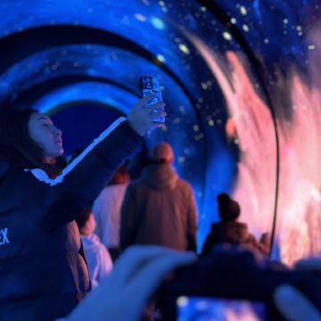 小包团·文博烟火·半日游【吉林市博物馆|官参局|陨石伴手礼】