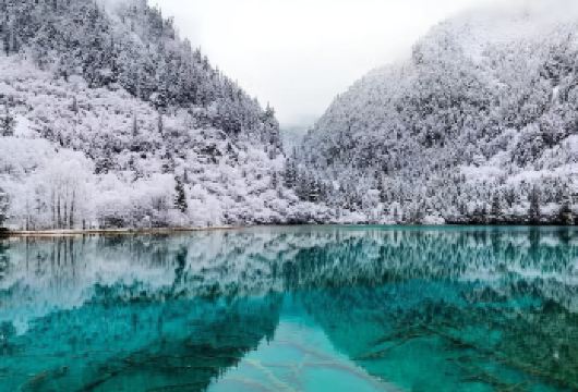 九寨沟包车-【黄龙九寨站|松潘站接-九寨沟风景区】舒适出行【专车接送|行程可调|可定制行程|单送或接】