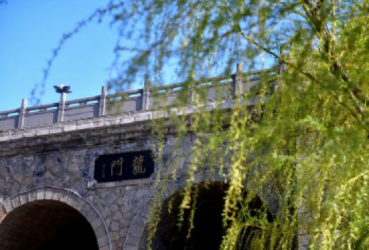 龙门石窟2H精品小包团人工讲解（不含门票）【2-8 人迷你精品小团，2 小时纯人工深度精讲无冗余行程】