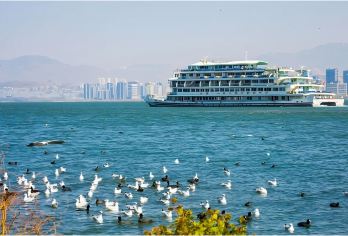 洱海大游船升级VIP服务+网红打卡+双廊古镇 一日游【洱海大游船升级VIP服务，VIP休息区+登船免排队+游船上固定卡座】