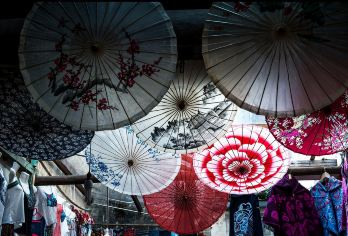 西递+宏村景区包车游【屯溪市区\黄山北站上门接送\时间自由】【黄山周边线路，双5A景区，配有经验司机服务，包您满意】