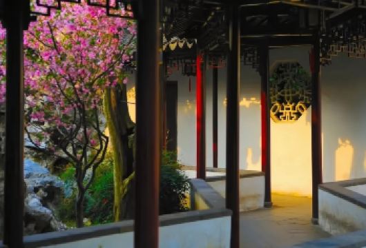 苏州虎丘+拙政园+平江路一日游 | 特色体验【聚焦苏州园林文化与运河文化，节奏紧凑】