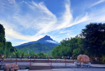 五指山水满河热带雨林风景区+黎峒文化园一日游【三亚往返接送】【[人气组合]老少皆宜，家庭出游，不一样的体验；】