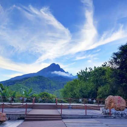 五指山水满河热带雨林+方诺寨+毛纳村一日游【三亚往返接送】