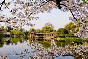 深度体验15人内纯玩团雷峰塔+西湖游船+灵隐寺一日游【[纯玩]一手团，真纯玩，无喝茶或带到丝绸店等任何隐性消费。放心购买】