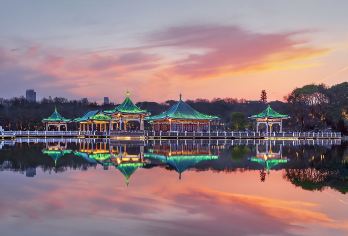 【2-6人小团】黄鹤楼+博物馆+武汉大学+东湖一日游【[优质出行]景区直通车；一天少步行5000步，平均多玩2小时】