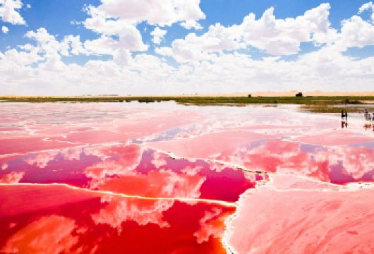 【五湖穿越专线】腾格里沙漠+乌兰湖+龙眼翡翠湖一日游/赠航拍【[精选路线六湖穿越]乌兰湖、天鹅湖、骆驼湖、海溜淇湖、吉他湖、龙眼翡翠湖（六湖穿越）】