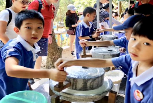 深圳+大鹏半岛一日游【深圳南澳《疯狂原始人》主题亲子一日游】【[学校春秋游]趣味春秋游，定制专属的VIP行程】