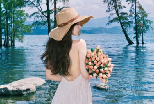 丽江出发往返环洱海包车一日游：古城上门接送+景点任选+私家团【[实力保障]一日游集团品质严选线路，拥有自己的车队、司机，全程品质把控，专业一手资源】