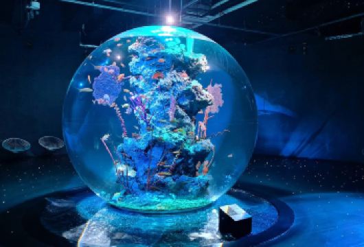 神户布引香草园&INS网红ATOA水族馆一日游-4人起成行【晚去晚回，适合睡到自然醒的假期，4人起成行】