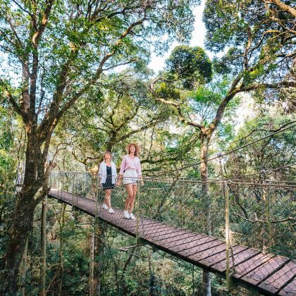 雷明顿国家公园 & 奥莱利酒庄之旅