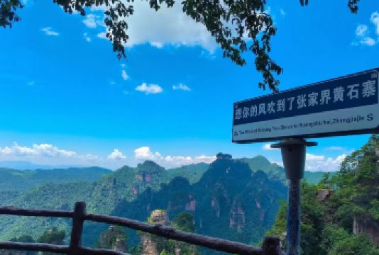 【夏季特价·纯玩小团 】张家界国家森林公园一日游+上门接送【纯玩无购物，森林公园热门景点全打卡[黄石寨+金鞭溪+杨家界+袁家界+天子山+百龙天梯]】