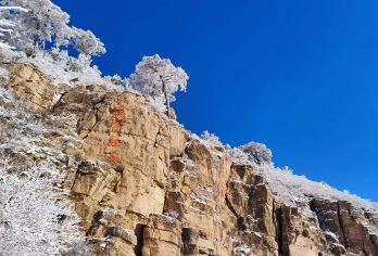 悬空寺+北岳恒山+木塔一日游【拼车准新车※一人可定※上门接】【[郑重承诺]1年内新车-五座车型随机安排，车内干净无异味，司机热情贴心服务；】