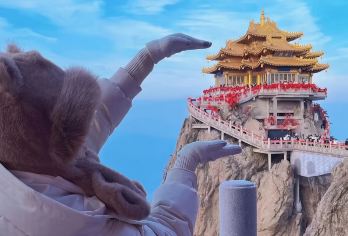 洛阳老君山景区一日游【一家一团◆上门接送/行程自定】【[游玩时间充裕]私人定制 时间自由小团省去等待其他游客时间，不用与其他客人拼团，独立用车，一单一团】