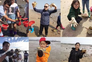 厦门：帆船赶海+体验帆船冲浪+沙坡尾+演武大桥观景平台@【（体验帆船冲浪+感受赶海乐趣+音乐广场+沙坡尾+演武大桥观景平台+赠送海鲜大咖锅+厦门往返）】