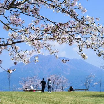 鹿儿岛出发：城山展望台+樱岛+仙岩园+鹿儿岛水族馆-包车游
