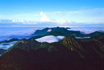 南岳衡山风景+南岳大庙+南岳衡山一日游【专车专行+资深导游】【心愿衡山：朝拜江南故宫[南岳大庙]，登顶火神[祝融峰]，开启心愿之旅，为所爱祈福】