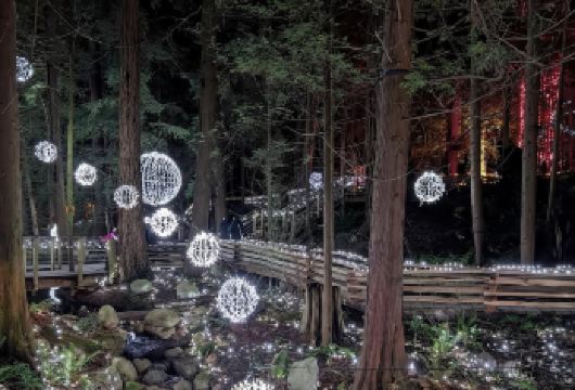 加拿大温哥华一日游-行程可调【中文包车自由行】【中文专车出行，行程自己定义，无需等待，专属贴心服务，尽享惬意旅程】