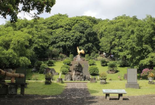 海口雷琼火山口地质公园一日游【往返接送】