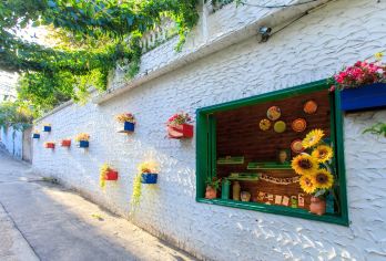 鼓浪屿一日游导游讲解+专车接送+指定航班|景点任选|独立成团【时间自由.】