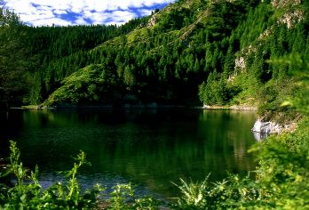 新疆+天山天池+乌鲁木齐天山大峡谷一日游【上门接送精品小团】【1、一天两个五A景区，避开早高峰堵车，省时都留在景区。】