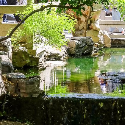 趵突泉景区【猩咖说|含门票|1.5H包团精讲|趵突泉讲解】