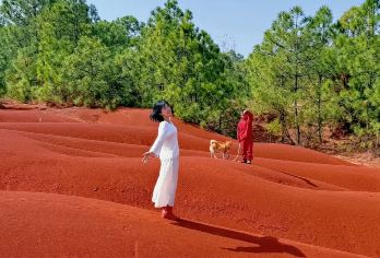 昆明东川红土地包车一日游：含往返高速+三环内接送+纯玩私家团【[实力保障]昆明一日游集团品质严选线路，拥有自己的车队、全程品质把控，专业一手资源】