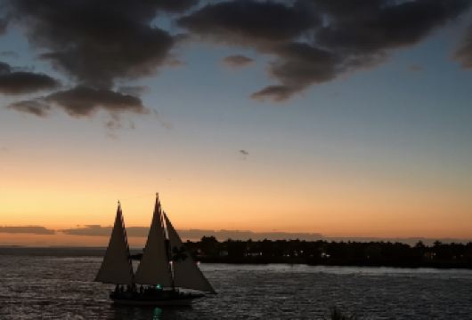 美国迈阿密-基韦斯特逛日落广场游海明威故居【中文包车自由行】【中文专车出行，行程自己定义，无需等待，专属贴心服务，尽享惬意旅程】