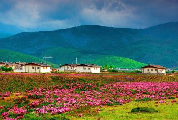 丽江+香格里拉+虎跳峡一日游【商务车大经幡土司宴 回程高速】【[一天玩转香格里拉]适合时间紧凑人群，商务车出行更自由！】