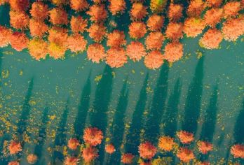 云南昆明：西山+滇池+民族村【定制日游 |中英多语种导游】#【中文/英文/俄语/法语/德语/意大利语/西班牙语/日语/韩语 等多语种导游可选】