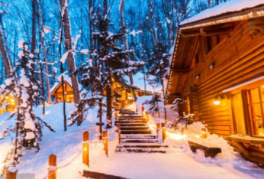 北海道旭山动物园&瀑布&青池&&精灵露台/中或英司导一日游【[网红景点]一天打卡4个网红景点】