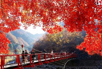 名古屋市区及周边游-白川乡/高山/下吕/富山/金泽/福井【上门接送-可定制多日-私家出行-不拼团不拼车】