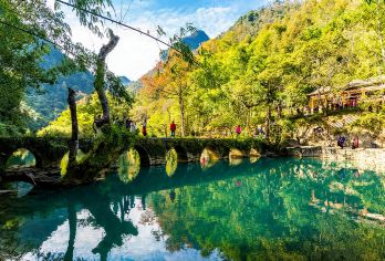 荔波小七孔景区一日游【纯玩无购物，地球天然氧吧】【畅游地球天然氧吧，感受清新空气】